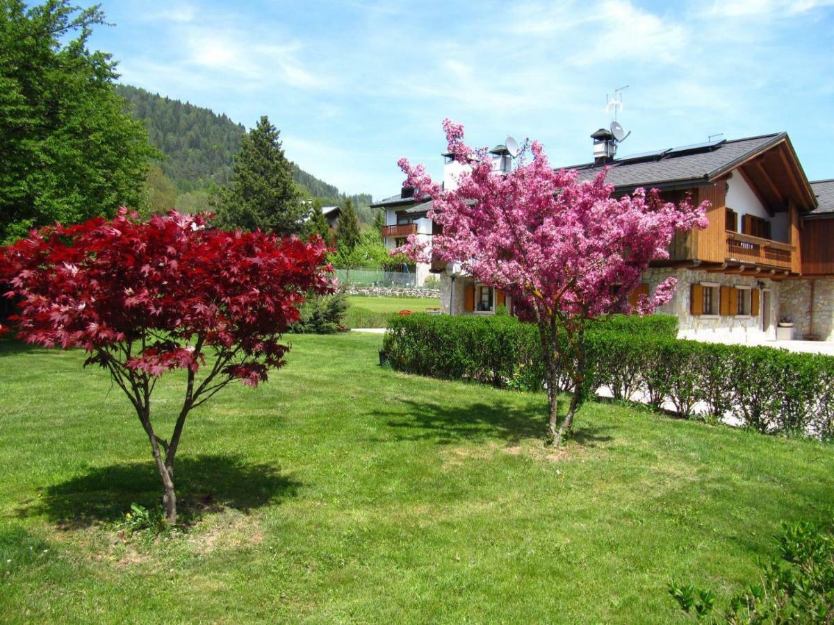 Ca'Milla B&B Nelle Dolomiti Pieve di Cadore Dış mekan fotoğraf