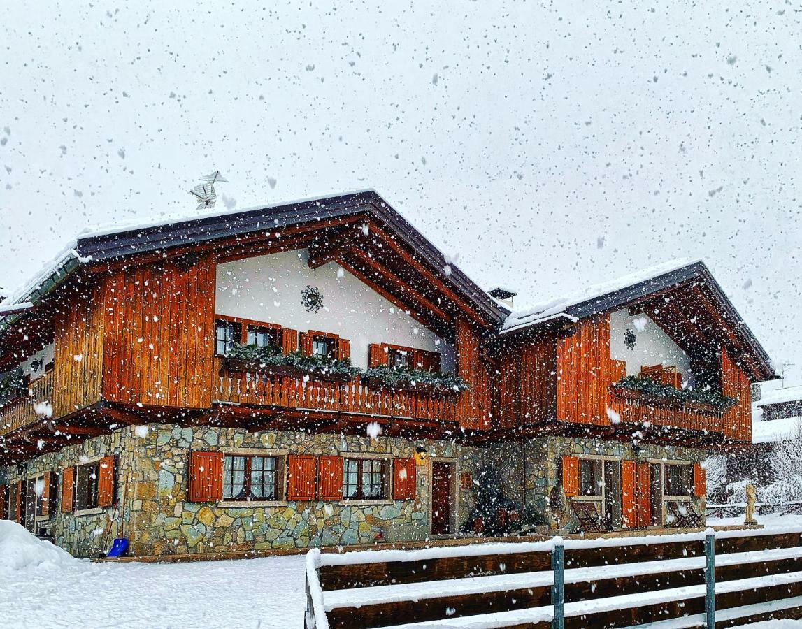 Ca'Milla B&B Nelle Dolomiti Pieve di Cadore Dış mekan fotoğraf